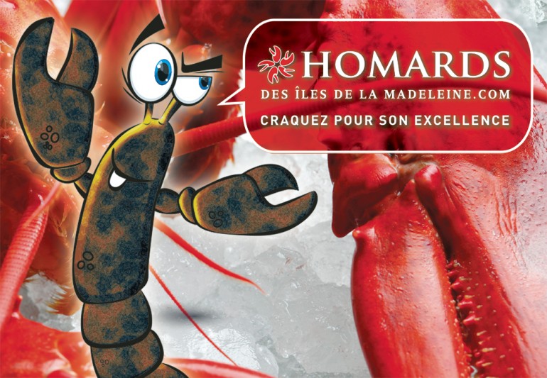 homard_2014