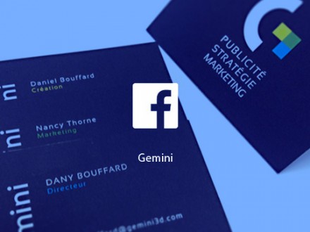 facebook_gemini_business