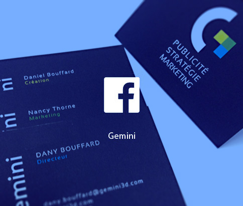 facebook_gemini_business