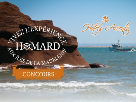 concours_accents_gemini